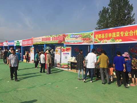 望都2017櫻桃文化旅游節(jié)暨農(nóng)副產(chǎn)品展銷會(huì)拉開(kāi)帷幕，助力地方特色食品銷售