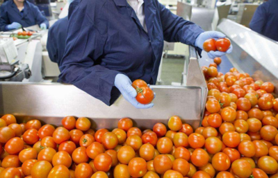 從田間到餐桌 農(nóng)副食品加工業(yè)的內(nèi)涵、現(xiàn)狀與未來(lái)展望