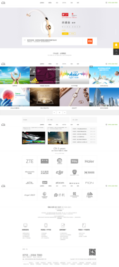 深圳企業(yè)網(wǎng)站的數(shù)字化翅膀 南隼互動打造品牌競爭力
